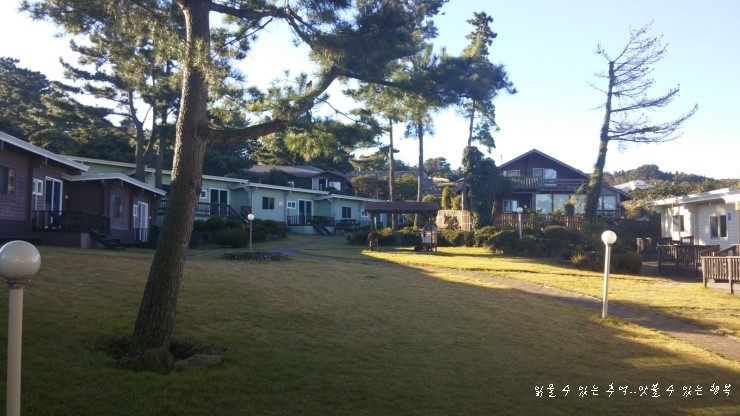 네이처피아 이미지