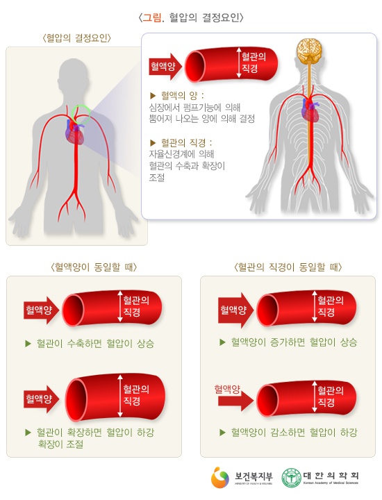 속시원내과의원 이미지