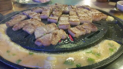 선운갈매기 이미지