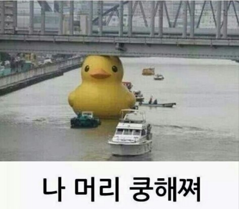 러버릴리 이미지