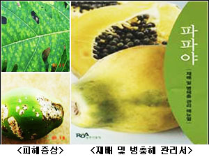 곡성청과 이미지