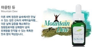 그린리프 이미지