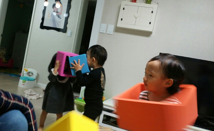 콩콩 & 조이 이미지