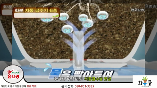 화분들닷컴 이미지