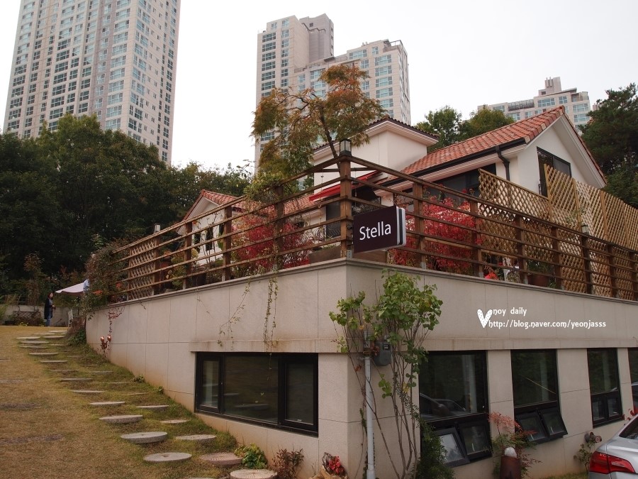 스텔라지 이미지