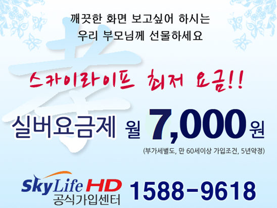 KT철원케이티 이미지