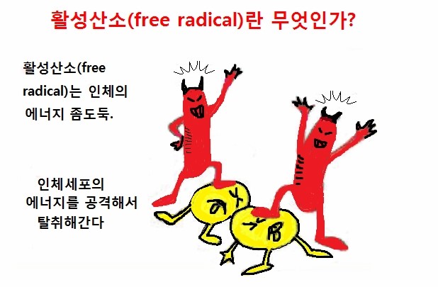 타워짐피트니스헬스 이미지