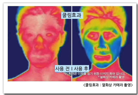 위너아이스 이미지