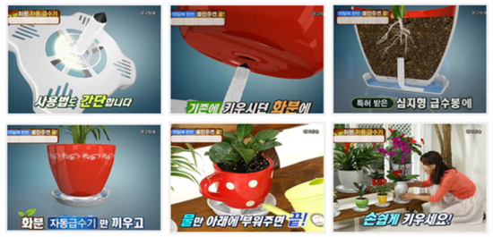 화분들닷컴 이미지