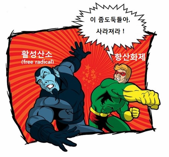 타워짐피트니스헬스 이미지