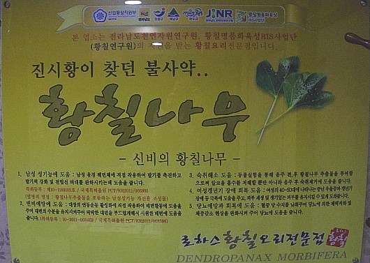 로하스황칠오리 이미지