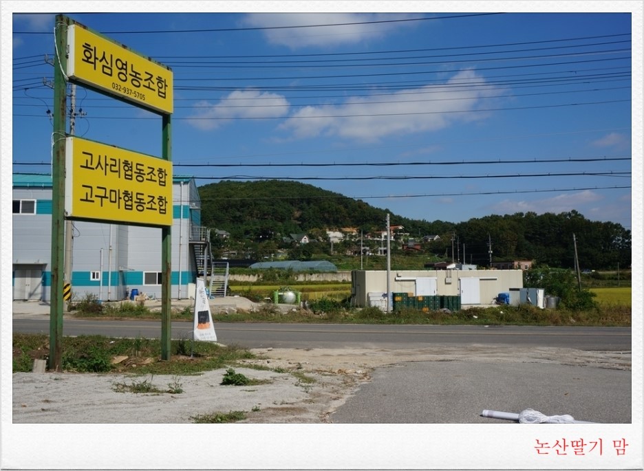 고사리협동조합 이미지