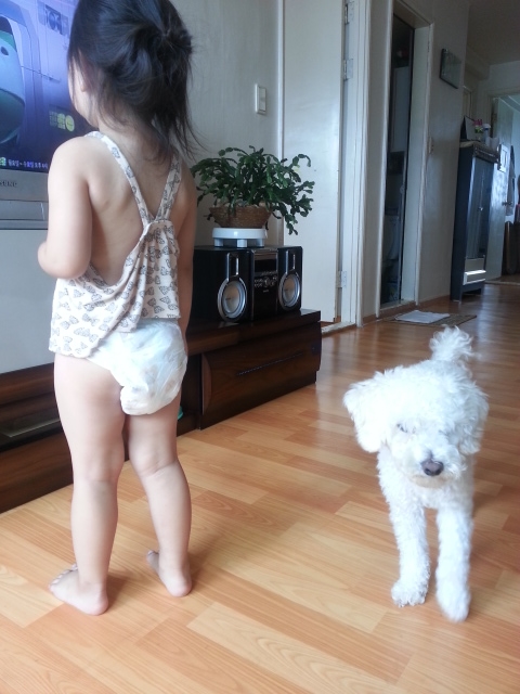 예인유치원 이미지