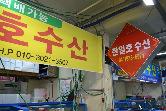한일호 이미지