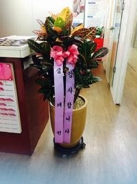 마북초등학교 이미지