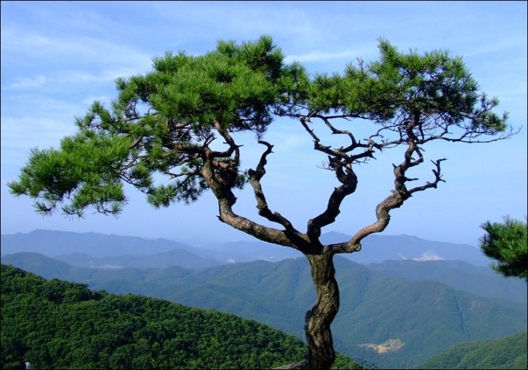 법무법인다윈 이미지