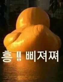 홍가스시 이미지