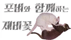 정가는짬뽕 이미지