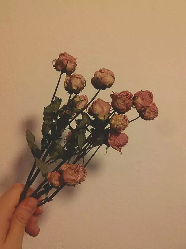 청년꽃집 이미지