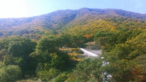 카리브모텔 이미지