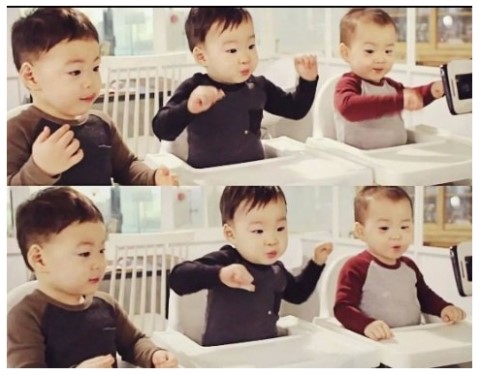 깍쟁이 이미지