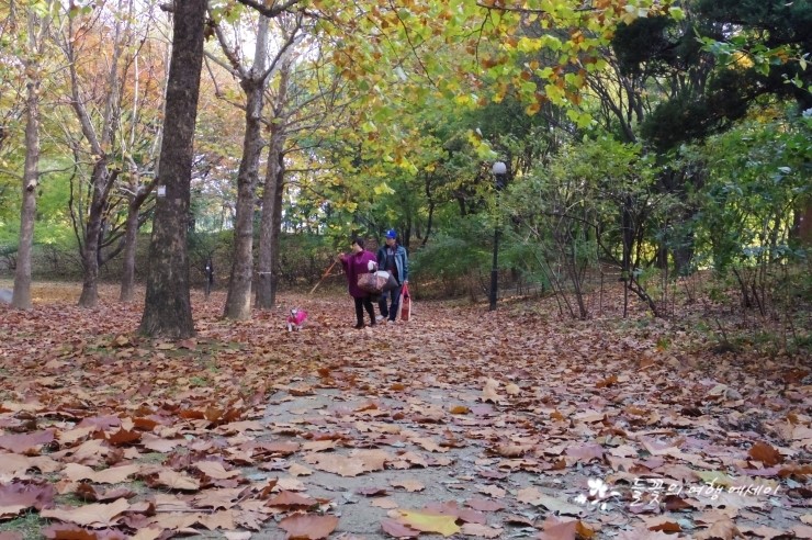 참치의味 이미지