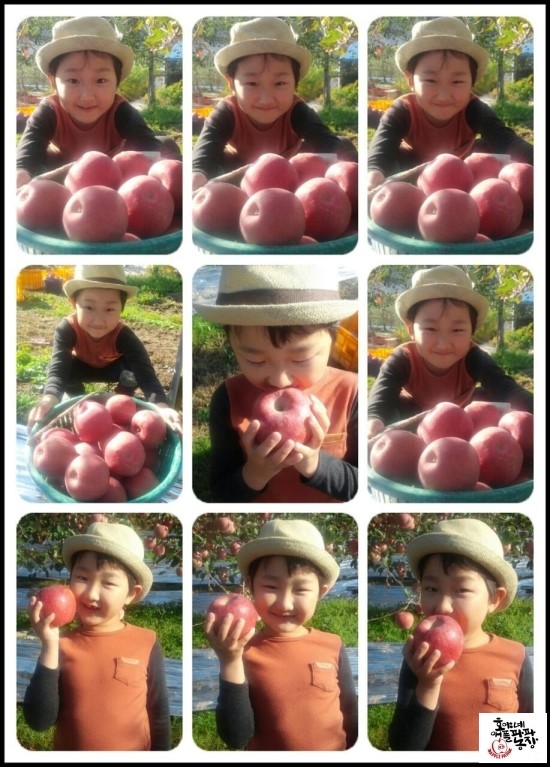 호야네농장 이미지