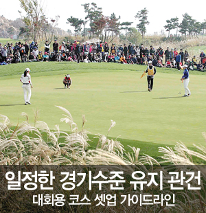 (주)대정골프엔지니어링 이미지