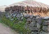 제주돌담 이미지