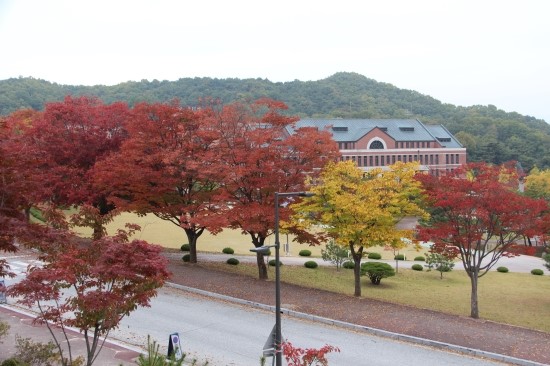 흥업축산 이미지