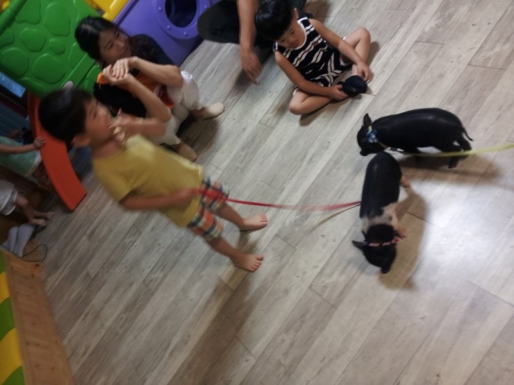 나라어린이집 이미지