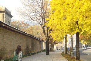 서울아동복 이미지