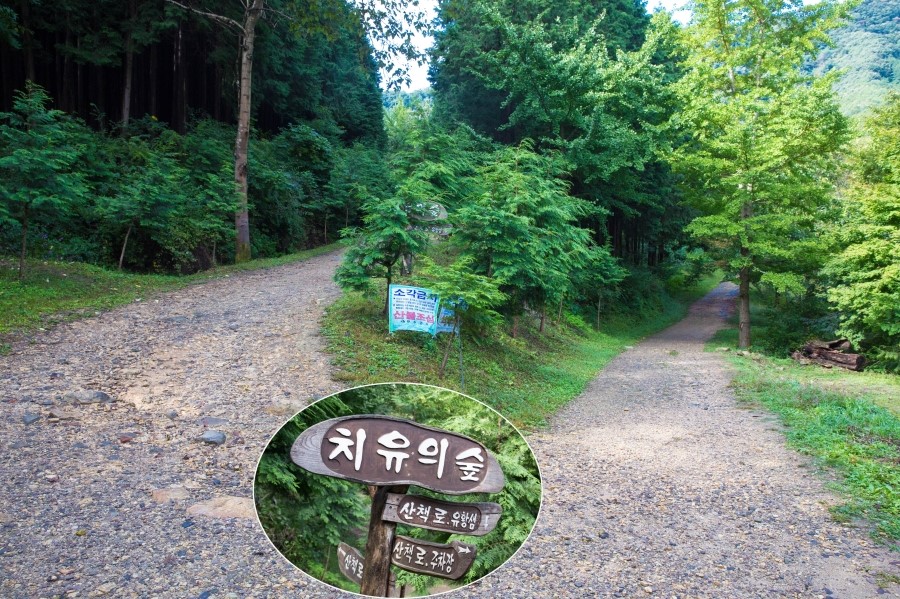 편백가든 이미지