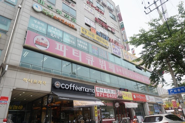 파티큐 이미지