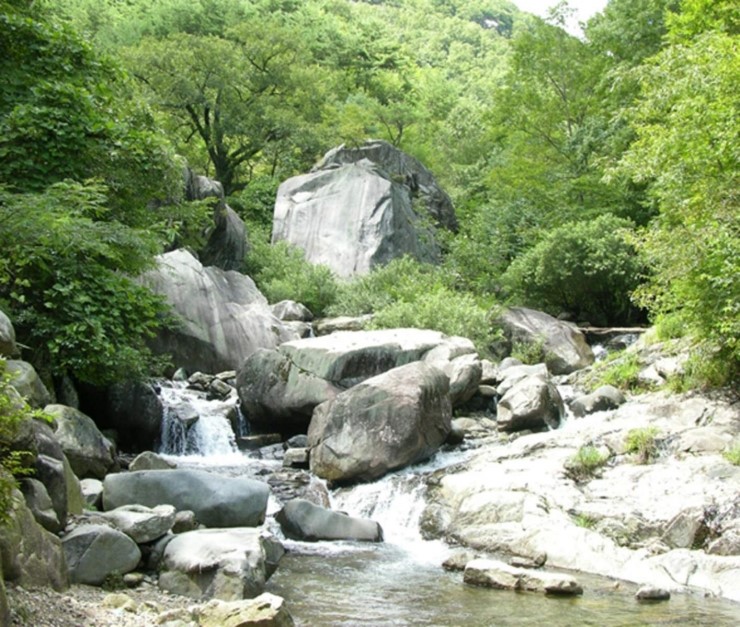 덕산관광농원 이미지