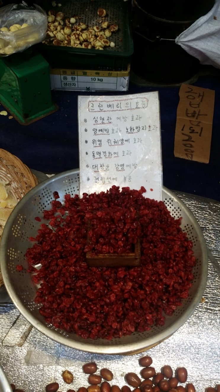 용현견과 이미지