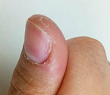 파파포포 이미지