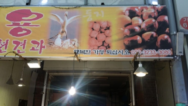 용현견과 이미지