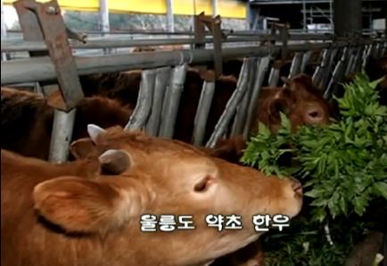 중앙축산물유통센터 이미지