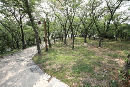 사천비연보존회 이미지