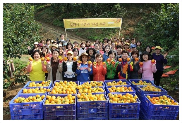중부꽃화원 이미지