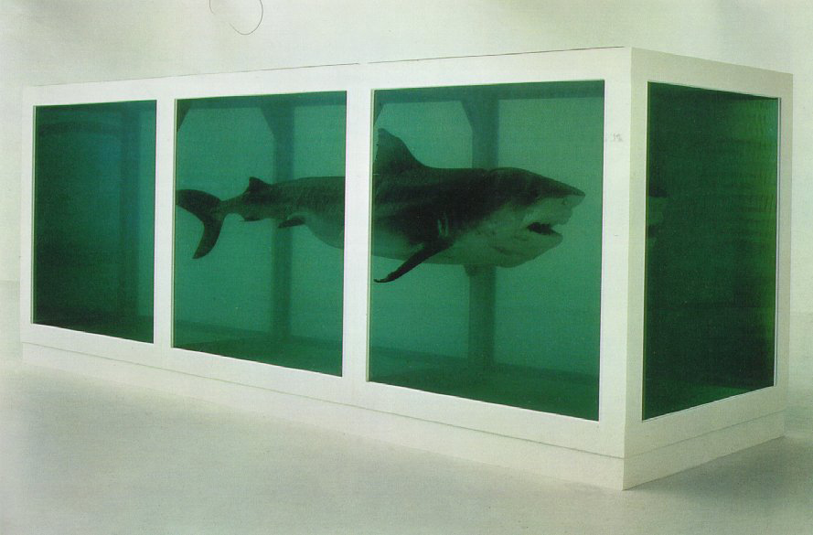 허스트(Hirst) 이미지