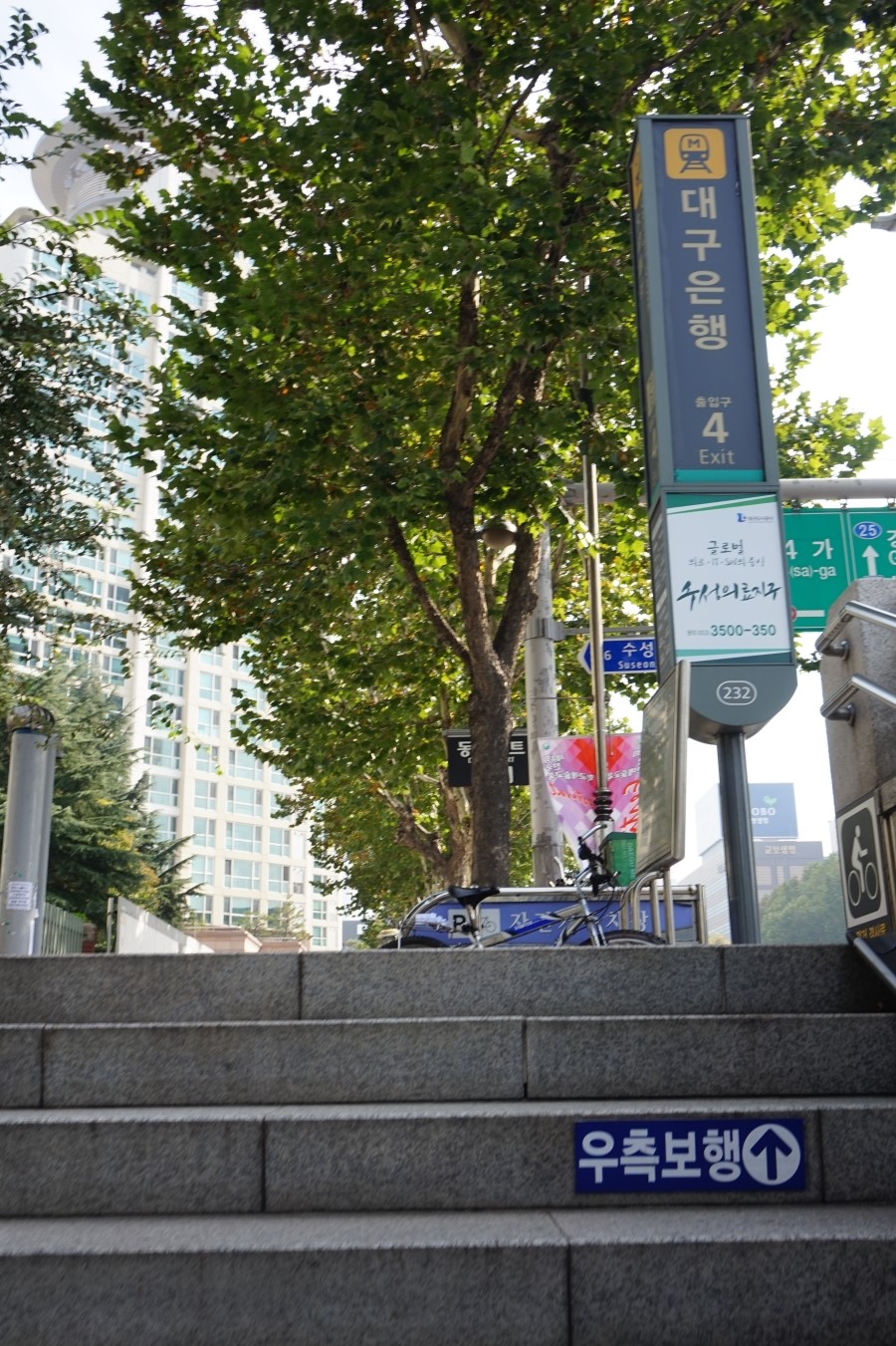 엘성형외과의원 이미지