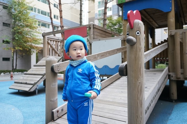콩쟁이 이미지