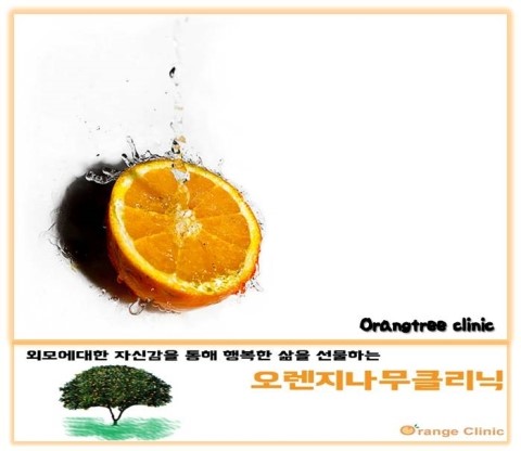 오렌지나무의원 이미지