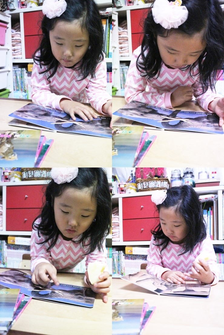 자연책사랑 이미지