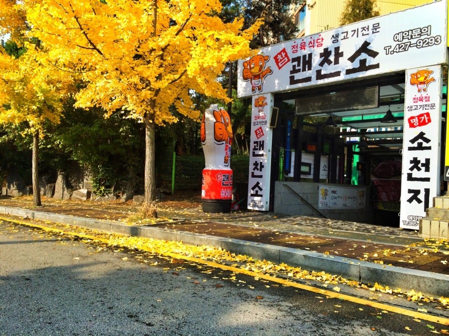 참괜찬소 이미지