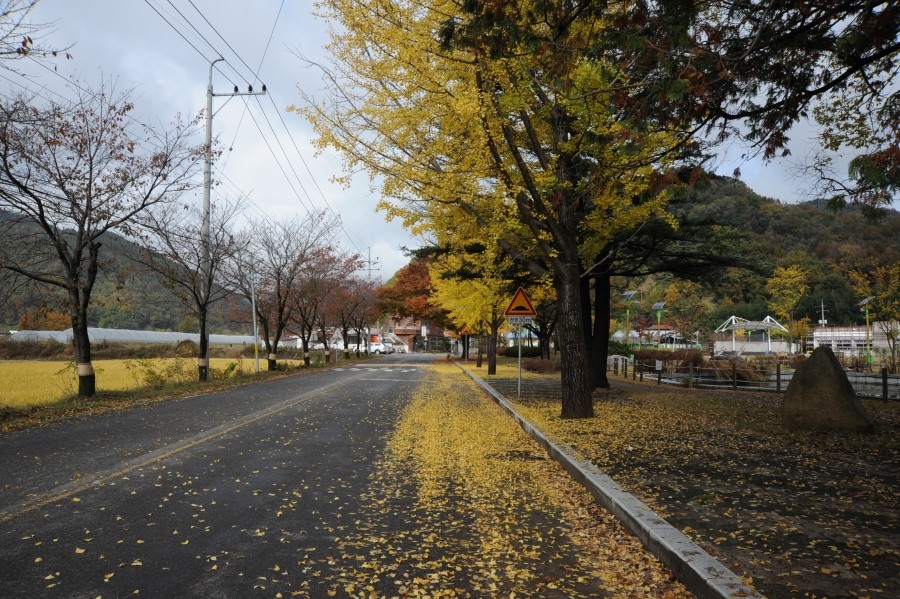 후암농산물 이미지