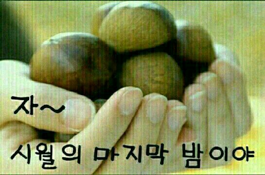 하늘갤러리 이미지