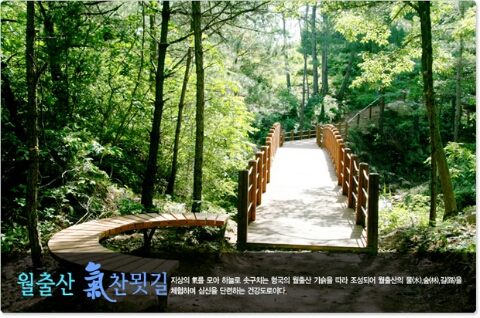 매력한우기찬랜드명품관 이미지